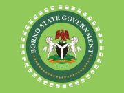 360 abductees freed through military operation, not ransom — Borno govt