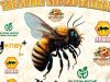 Jos Wildlife Park Hosts The Honeybee Experience – plateaureports