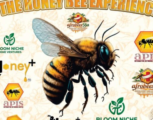 Jos Wildlife Park Hosts The Honeybee Experience – plateaureports